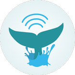 Globecomm