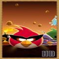 Angry Bird Wallpaper