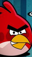 Angry Bird Wallpaper screenshot 1