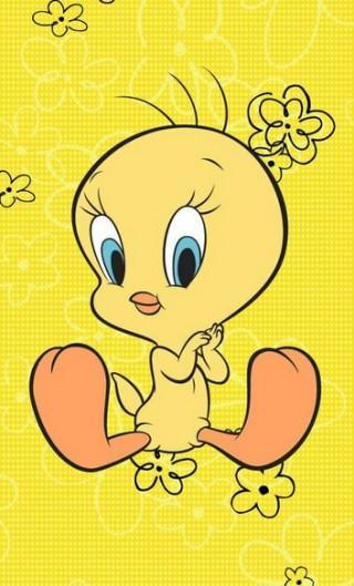 Tweety Wallpaper安卓下载 安卓版apk 免费下载