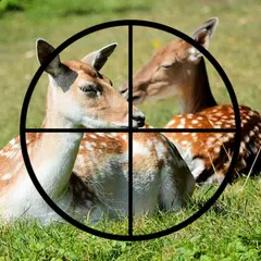 Sniper Deer Hunting Challenge APK download