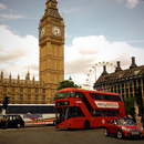 Bus Sim 3D APK