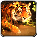 Tiger Simulator 3D APK