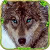 Furious Wolf Simulator APK