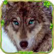 tức giận giả sói 🐺
