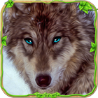 분노 늑대 시뮬레이터 🐺 아이콘