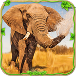 Furious Elephant Simulator