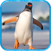 Ultimate Penguin Simulator APK