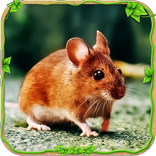 Ultimate Mouse Simulator