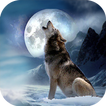 Wolf Quest Simulator game