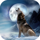 Wolf Quest Simulator game أيقونة