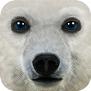 Ultimate Arctic Simulator APK