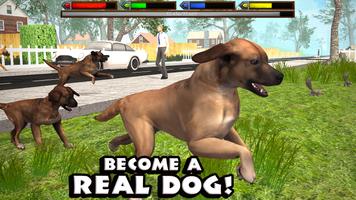 Ultimate Dog Simulator poster