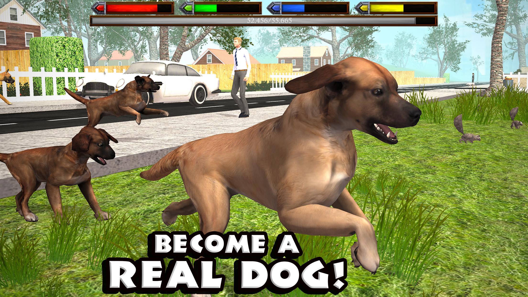 Компьютерная игра собаки