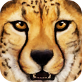 Ultimate Savanna Simulator
