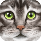 Ultimate Cat Simulator icon