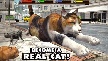 Ultimate Cat Simulator पोस्टर