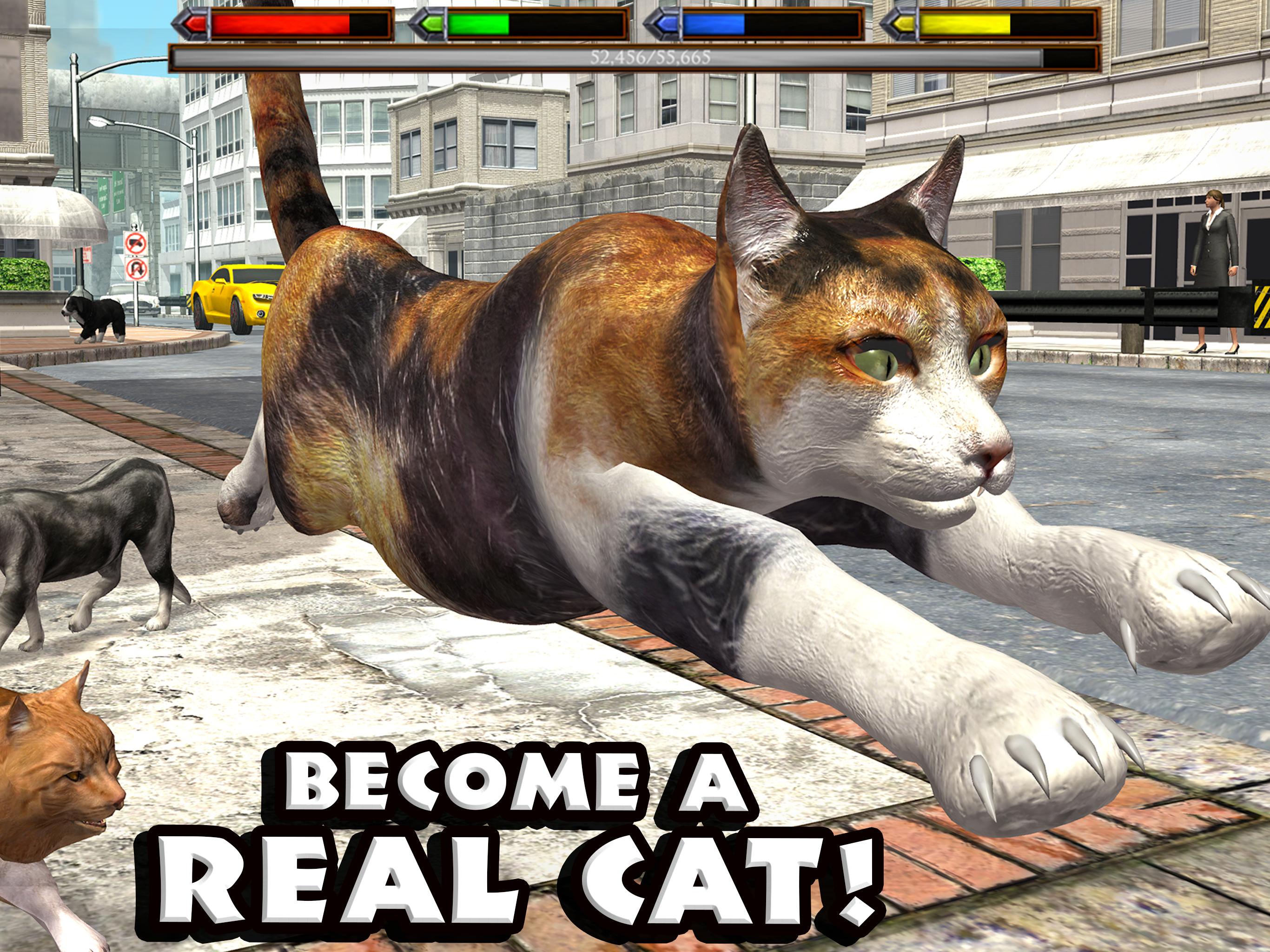 Игра кошка мода. Симулятор кошки. Симулятор кота и кошки. Симулятор рыжего кота. Cat SIM.