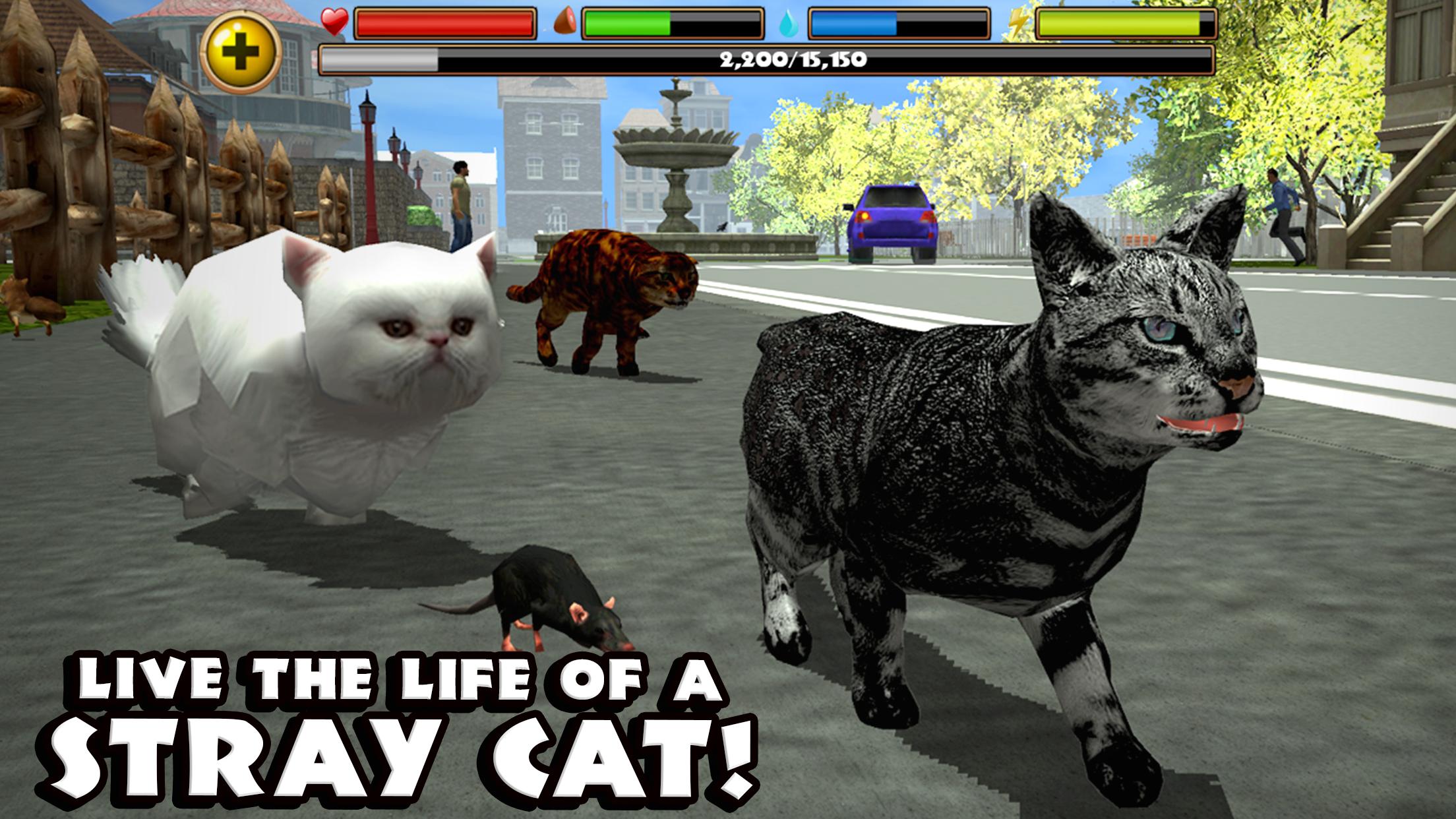 Бесплатное игры про кошек