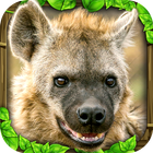Hyena Simulator ícone