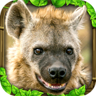 Hyena Simulator Zeichen