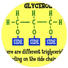 Glycerol Definition Biochemistry icône
