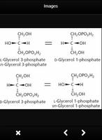 Glycerin Definition Biochemie Plakat