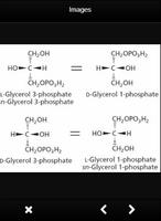 ग्लिसरॉल परिभाषा जैव रसायन पोस्टर
