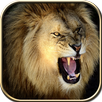 Wild Lion Hunt 2016 APK