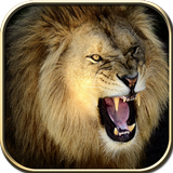 Wild Lion Hunt 2016 icône