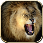 آیکون‌ Wild Lion Hunt 2016