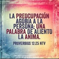 Proverbios Biblicos screenshot 3