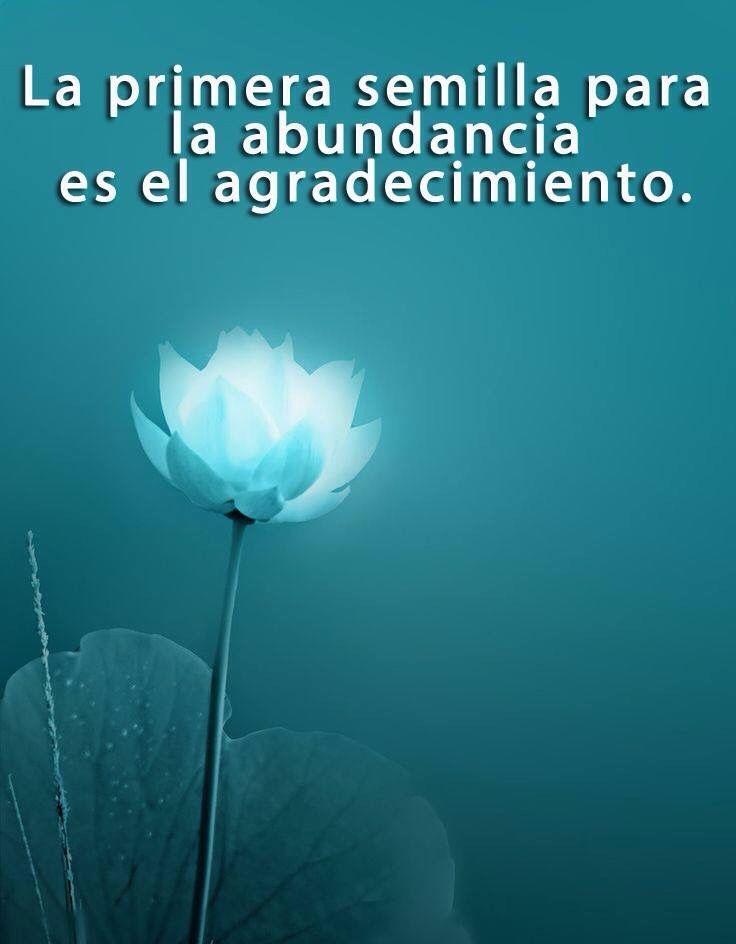 Descarga de APK de Reflexiones para el alma para Android Descarga de APK de Reflexiones para el alma para Android