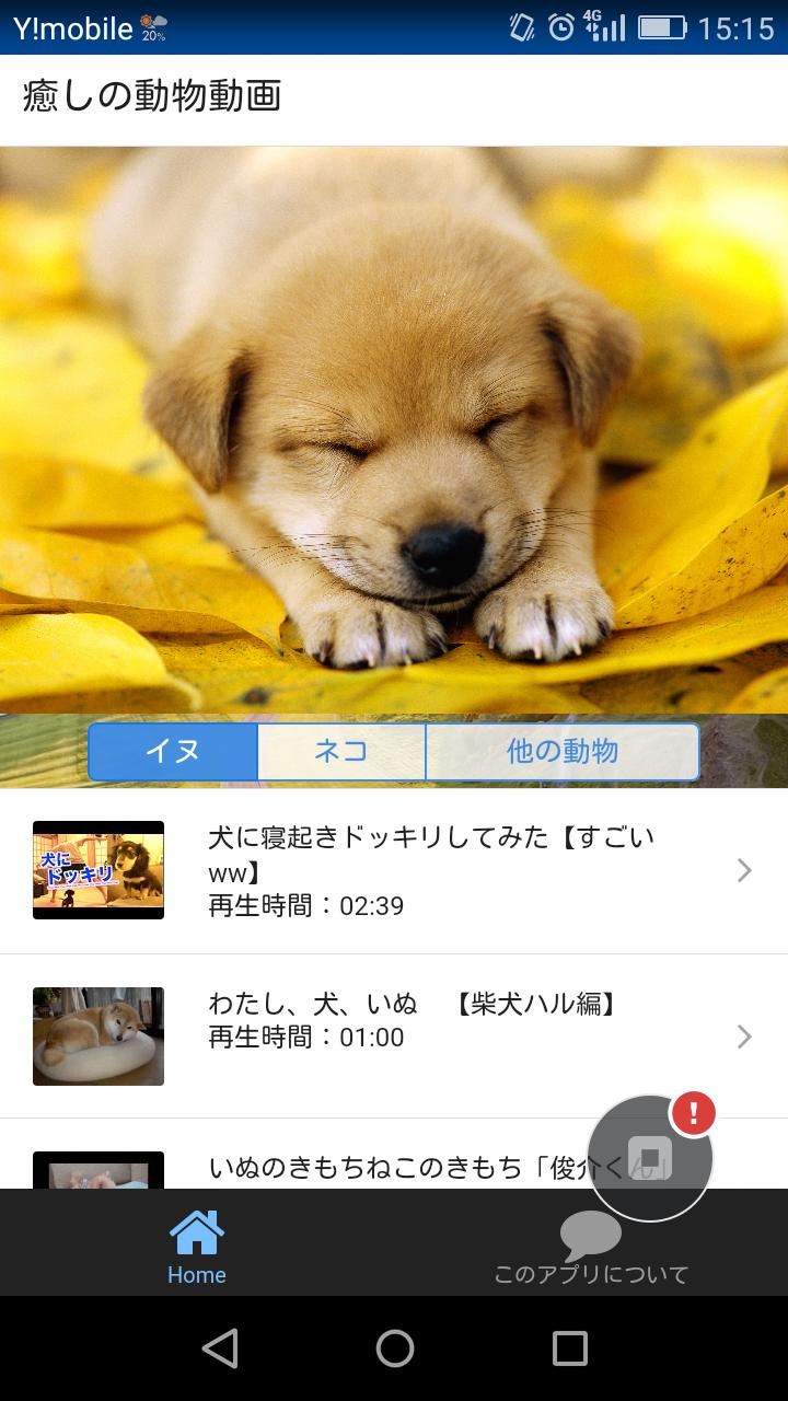 Android 用の 無料 癒しの動物動画 Apk をダウンロード