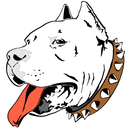 Pitbull - Unblocked Games APK