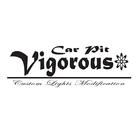 Car Pit Vigorous アプリ ícone