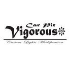 Car Pit Vigorous アプリ ไอคอน