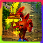 Top Crash Bandicoot Tips 아이콘