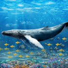 ikon Biru Ikan paus Bertahan hidup Tantangan Nyata