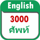 3000 Important English Vocabulary icône