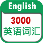 3000 Core English Words icône