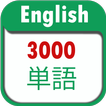 3000 Essential English Vocabulary