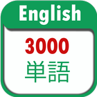 3000 Essential English Vocabulary icône
