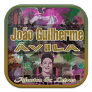 Joao Guilherme Música Letras APK