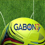 كأس الامم الافريقية 2017