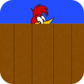 Woodpecker Show