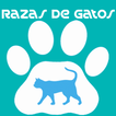 Razas de gatos