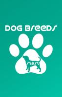 پوستر Dog Breeds (English)