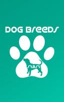 Dog Breeds (English) Plakat