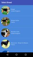 Dog Breeds (English) imagem de tela 2